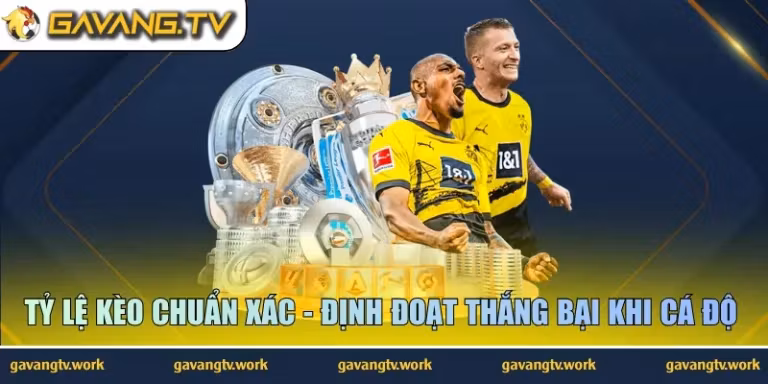 tỷ lệ kèo chuẩn xác